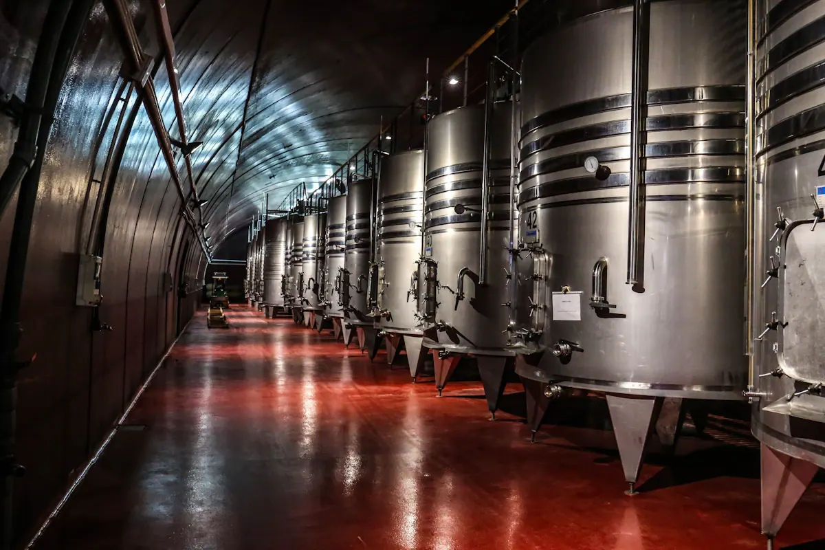 Degustação de vinhos