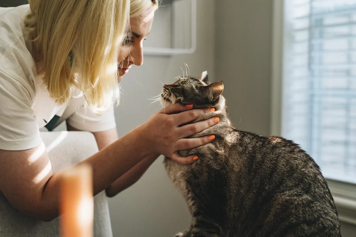 Consulta veterinária em animal de estimação