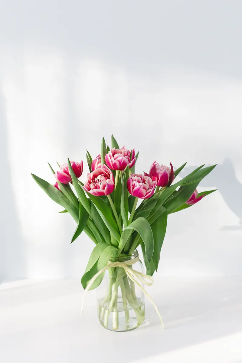 Ambiente ilustrativo do modelo Capítulo Eventos