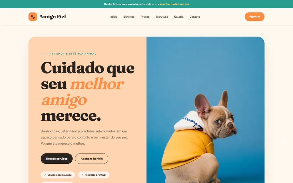 Design do modelo Amigo Fiel